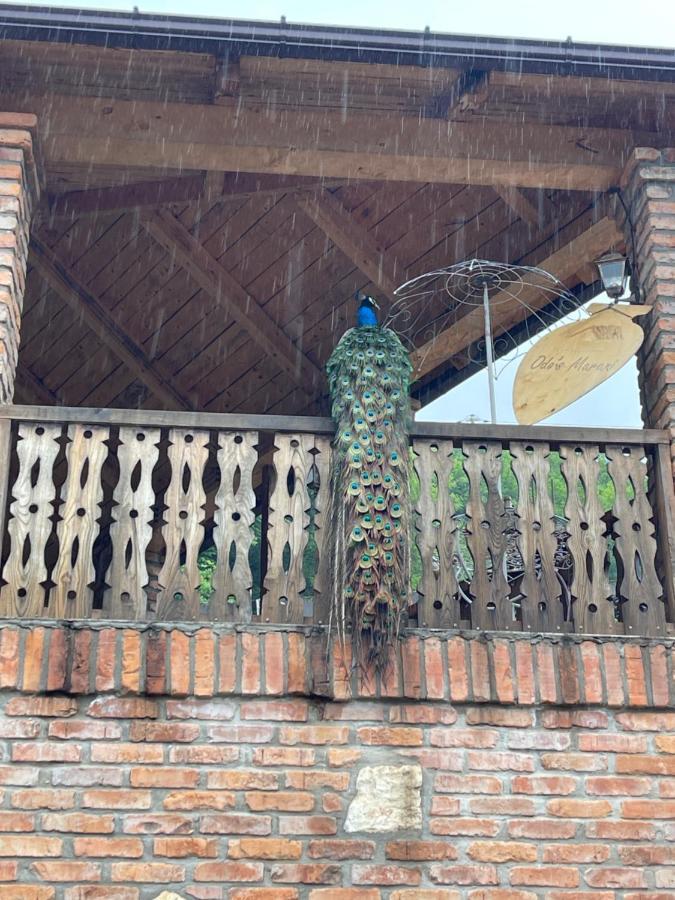 Odo'S Guest House 马尔特维利 外观 照片
